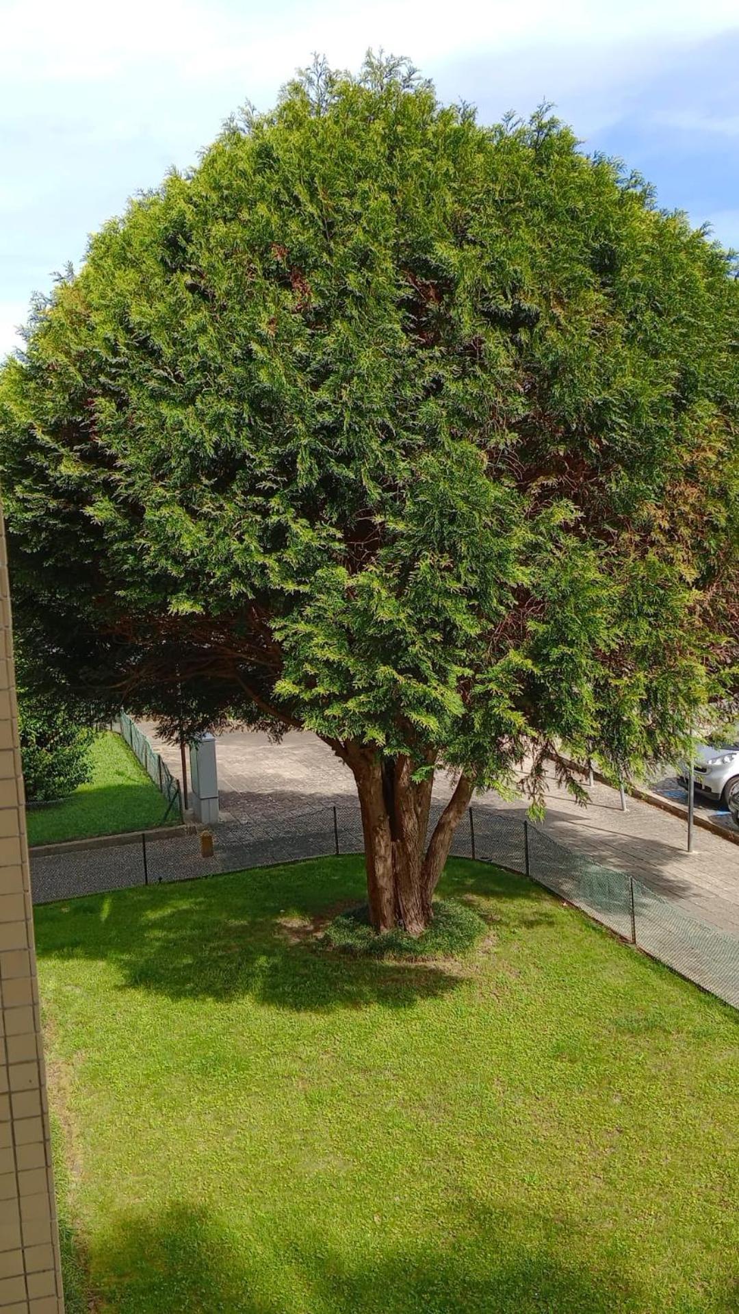 Praceta Lägenhet OOporto Exteriör bild